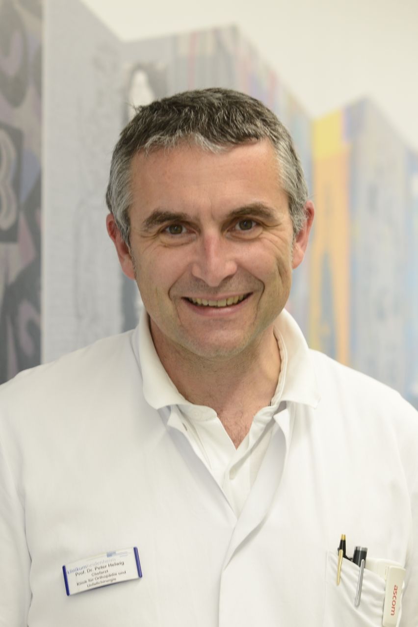 Referent des Abends: Professor Dr. Peter Helwig